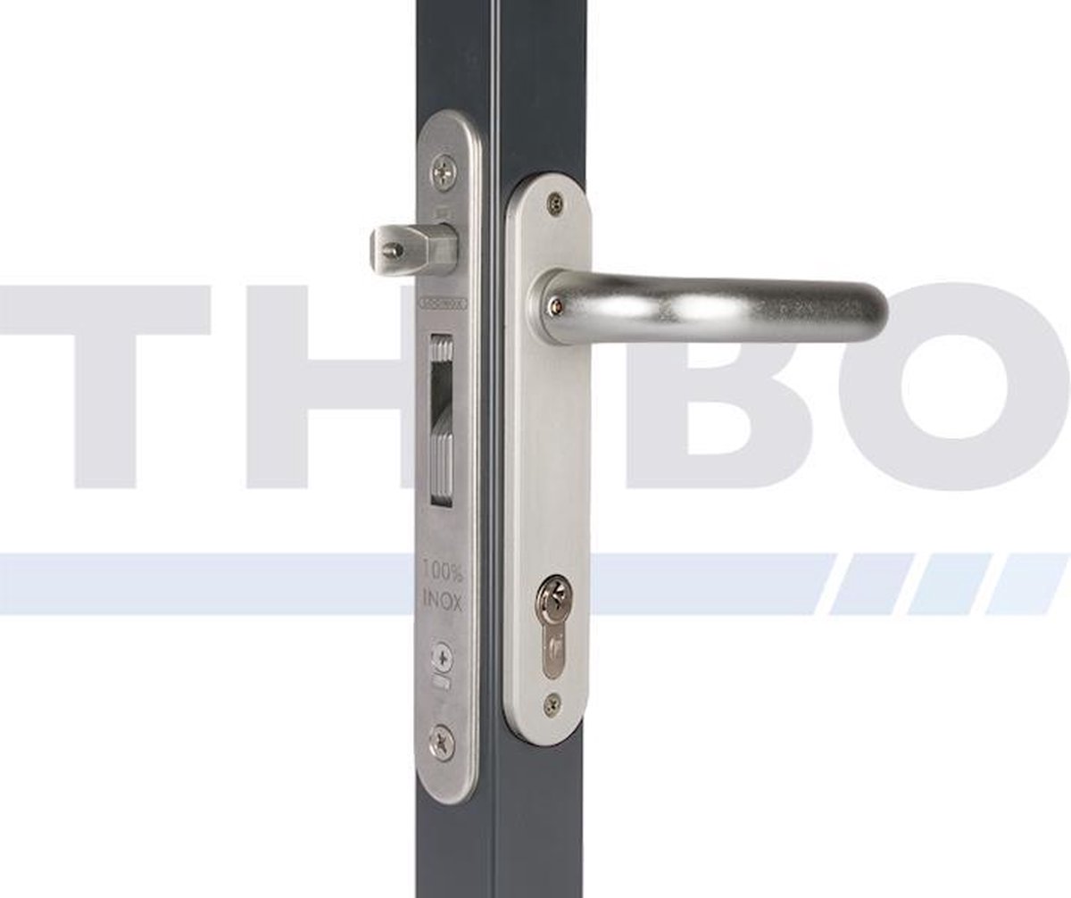 Insteekslot - Fortylock, Fiftylock of Sixtylock - Fiftylock, doornmaat 40 mm, profiel ? 60 mm