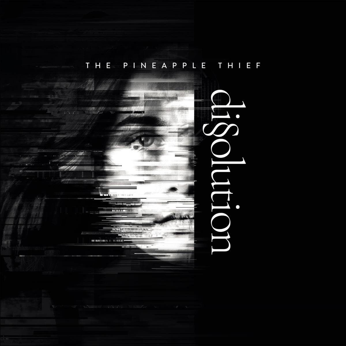 Dissolution Dissolution