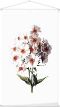 Vlambloem (Phlox White) - Foto op Textielposter - 60 x 90 cm