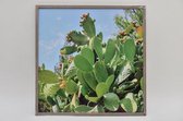 Wanddecoratie - Buiten Canvas Cactus In Frame 58x58cm