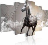 Schilderij - Paard in galop , grijs wit , 5 luik