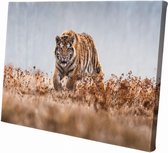 Tijger | 150 x 100 CM | Wanddecoratie | Dieren op canvas | Schilderij | Canvasdoek | Schilderij op canvas