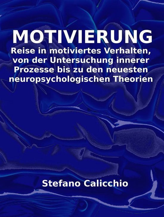 Motivierung - cover