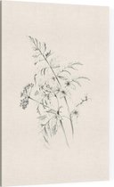 Fluitenkruid zwart-wit Schets (Wild Beaked Parsley) - Foto op Canvas - 60 x 90 cm