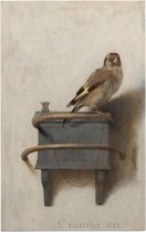Het puttertje, Carel Fabritius - Foto op Forex - 60 x 90 cm