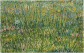 Grasgrond, Vincent van Gogh - Foto op Forex - 150 x 100 cm