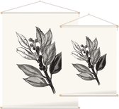 Ilex Hulst zwart-wit 2 (Holly Bud) - Foto op Textielposter - 90 x 120 cm