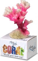 Auqa Della Coral module cauliflower coral Wit/roze S - 10x6,8x5,5CM