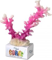 Auqa Della Coral module staghorn coral Roze/wit L - 19,5x13,5x6CM