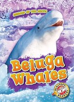 Animals of the Arctic - Beluga Whales
