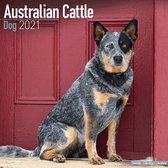 Australian Cattle Dog Kalender 2021