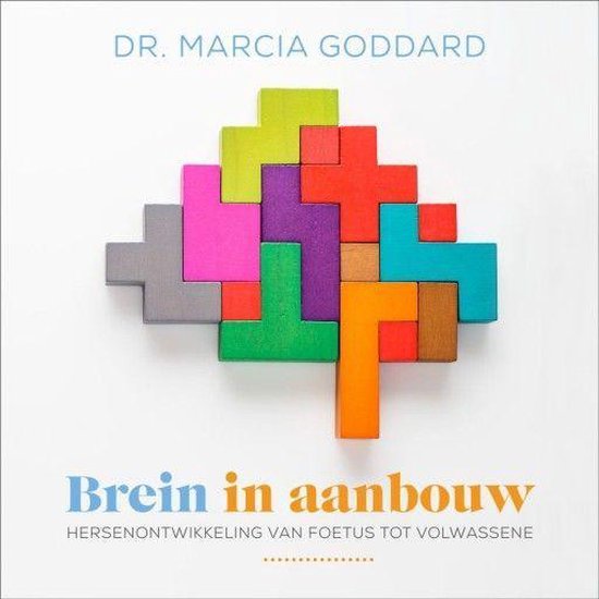 Brein in aanbouw - cover