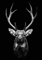Dark Deer Aluminium 80x120 cm zwart wit dieren wanddecoratie