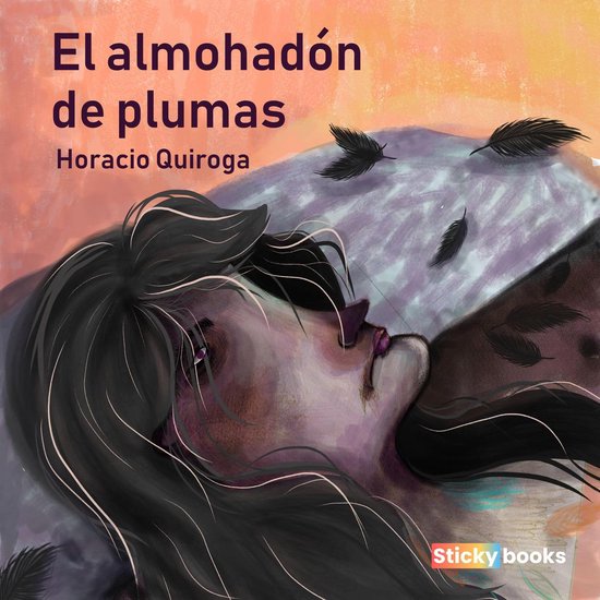 El almohadón de plumas - cover