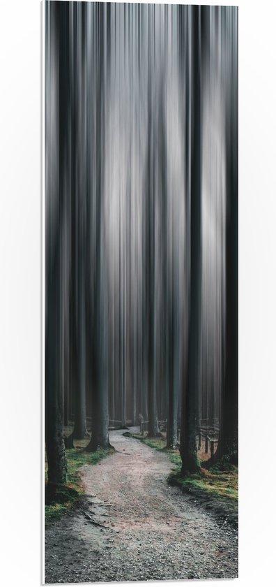 WallClassics - PVC Schuimplaat - Hele Hoge Abstracte Bomen - 30x90 cm Foto op PVC Schuimplaat (Met Ophangsysteem)