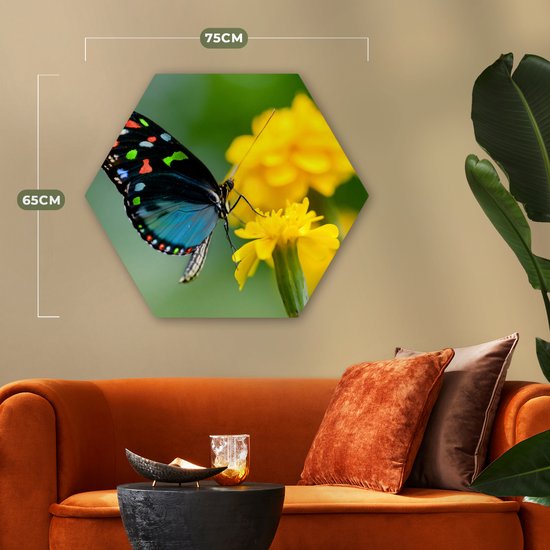 Hexagon wanddecoratie - Kunststof Wanddecoratie - Hexagon Schilderij - Vlinder - Bloem - Dier - Insect - 75x65 cm