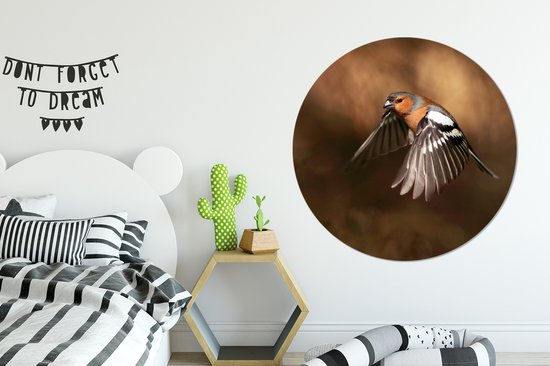 Pinson mâle s'envole Assiette en plastique cercle mural ⌀ 150 cm XXL / Groot taille!