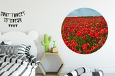 WallCircle - Wall Circle - Wall Circle - Une prairie pleine de coquelicots - Aluminium - Dibond - 120x120 cm - Intérieur et Extérieur XXL