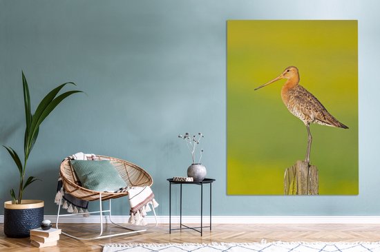 Toile - Tableau - Vogel - Animaux - Barge à queue noire - Perche - Vert - Peintures sur toile - Photo sur toile - 120x160 cm - Décoration murale - Salon