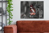 Canvas - Dieren - Vlinder - Bloemen - Natuur - Oranje - Woonkamer - 80x60 cm - Canvas doek - Schilderijen op canvas