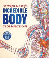 DK Stephen Biesty Cross-Sections - Stephen Biesty's Incredible Body Cross-Sections