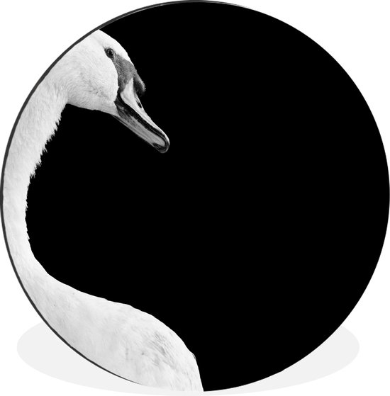 WallCircle - Wandcirkel - Muurcirkel - Close-up witte zwaan - zwart wit - Aluminium - Dibond - ⌀ 60 cm - Binnen en Buiten