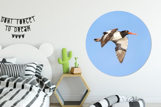 Un huîtrier volant et coloré en vol Cercle mural aluminium ⌀ 140 cm