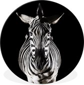 Zebra sur fond noir Cercle mural en aluminium