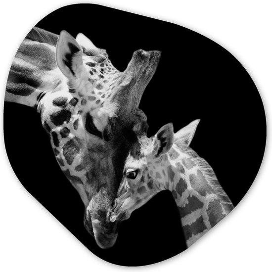 Organische Wanddecoratie - Kunststof Muurdecoratie- Organisch Schilderij - Giraffe - Wilde dieren - Portret - Zwart wit- 90x90 cm - Organische spiegel vorm op kunststof