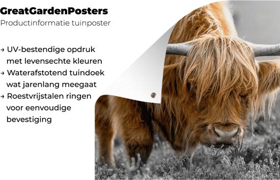 Décoration murale extérieur Highlander écossais - Fleurs - Vache - 160x120 cm