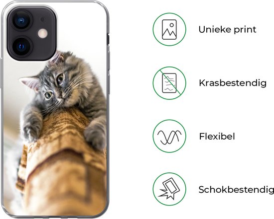 Telefoonhoesje Geschikt voor iPhone 12 mini hoesje - Kat - Krabpaal - Grijs - Siliconen Telefoonhoesje Telefoonhoesje