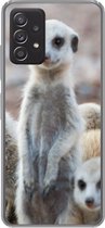Geschikt voor Samsung Galaxy A53 5G hoesje - Nieuwsgierige stokstaartjes - Siliconen Telefoonhoesje