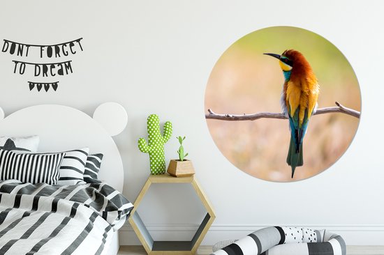 WallCircle - Cercle Mural - Cercle Mural - Vogels - Guêpier - Animaux - Aluminium - Dibond - 140x140 cm - Intérieur et Extérieur