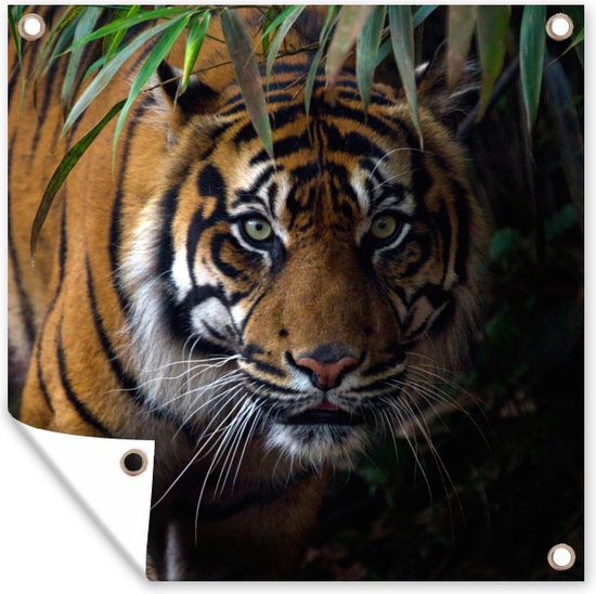 Serviette de jardin Tigre - Feuilles - Jungle - Animaux - Sauvage - 100x100 cm