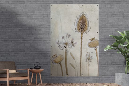 Tuinposter met een bruin, vintage stilleven van gedroogde bloemen: distel, klaprozen en papaver.