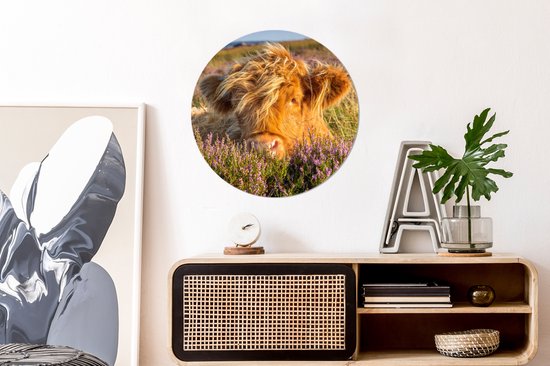 Wallpaper Circle - Highlander écossais - Heather - Herbe - Animaux - 50x50 cm - Wall Circle - Auto-adhésif - Sticker rond pour papier peint