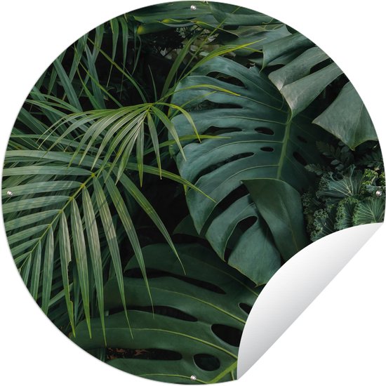 Tuincirkel Planten - Jungle - Bladeren - Tropisch - 60x60 cm - Ronde Tuinposter - Buiten