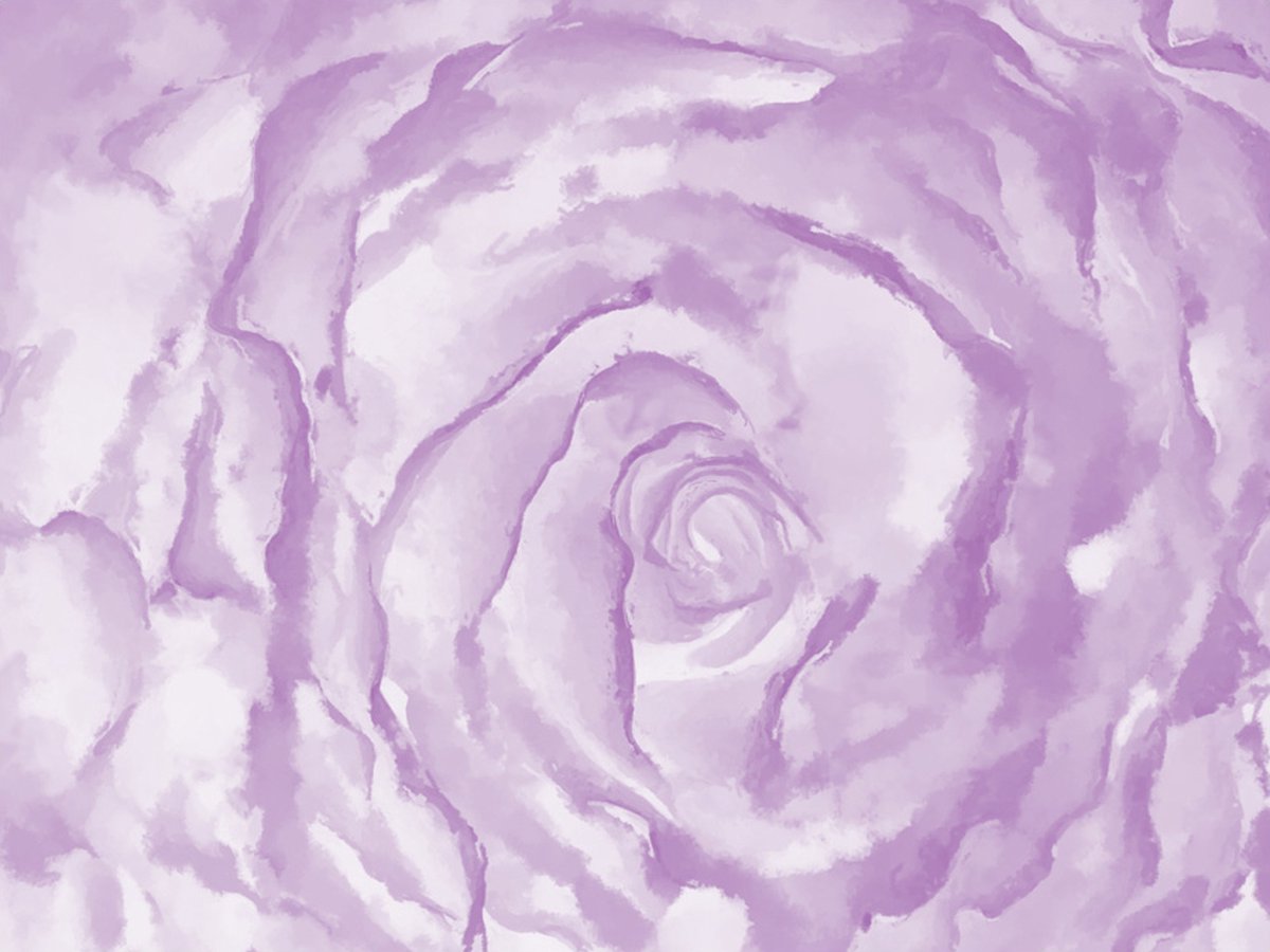 Fotobehang - roos (rosa).