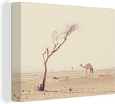 Canvas Schilderij Kameel wandelt over woestijnweg in Dubai - 80x60 cm - Wanddecoratie