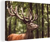 Cerf dans une forêt 120x80 cm - Tirage photo sur toile (Décoration murale salon / chambre) / Peintures sur toile animaux sauvages