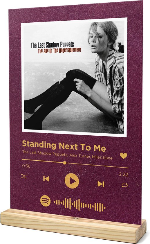 Songr Spotify Plaat - Standing Next To Me - The Last Shadow Puppets ...