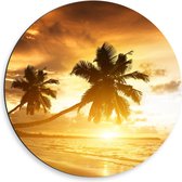 WallClassics - Dibond Muurcirkel - Palmbomen op het Strand bij Zonsondergang - 50x50 cm Foto op Aluminium Muurcirkel (met ophangsysteem)