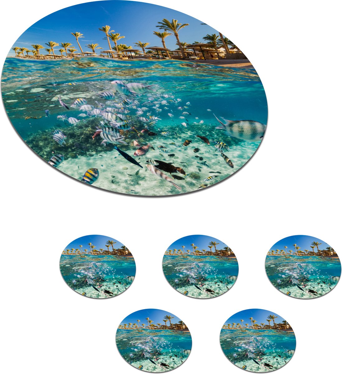Onderzetters voor glazen - Rond - Zee - Vissen - Egypte - 10x10 cm - Glasonderzetters - 6 stuks