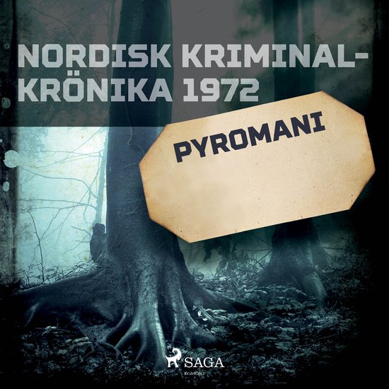Pyromani - cover