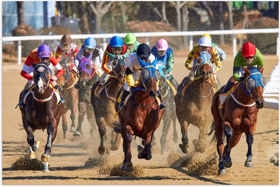 WallClassics - Poster Glanzend – Paarden Race - 90x60 cm Foto op Posterpapier met Glanzende Afwerking