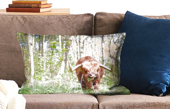 Sierkussen Highlander Cows pour usage intérieur - Highlander in the forest - 60x40 cm - Coussin intérieur rectangulaire en coton