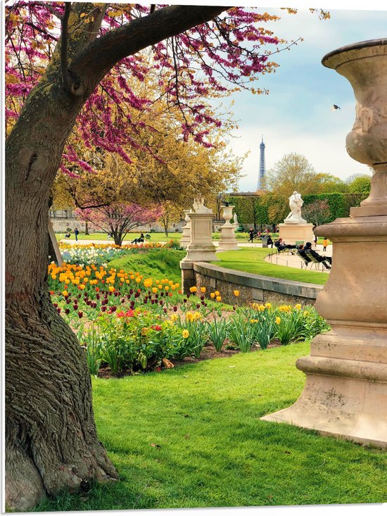 Foto: Wallclassics pvc schuimplaat jardin du luxembourg 60x80 cm foto op pvc schuimplaat met ophangsysteem 