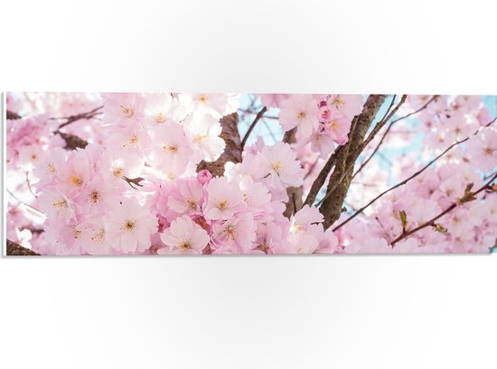 WallClassics - PVC Schuimplaat- Roze Bloemen in een Boom - 60x20 cm Foto op PVC Schuimplaat