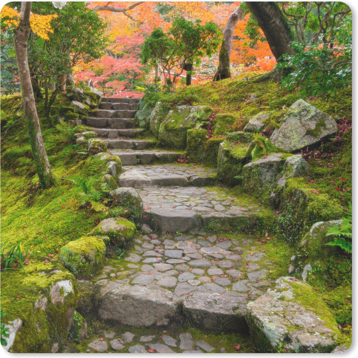 Muismat 20x20 cm - Mousepad Natuur - Stenen - Pad - Mos - Japans - Muismatten