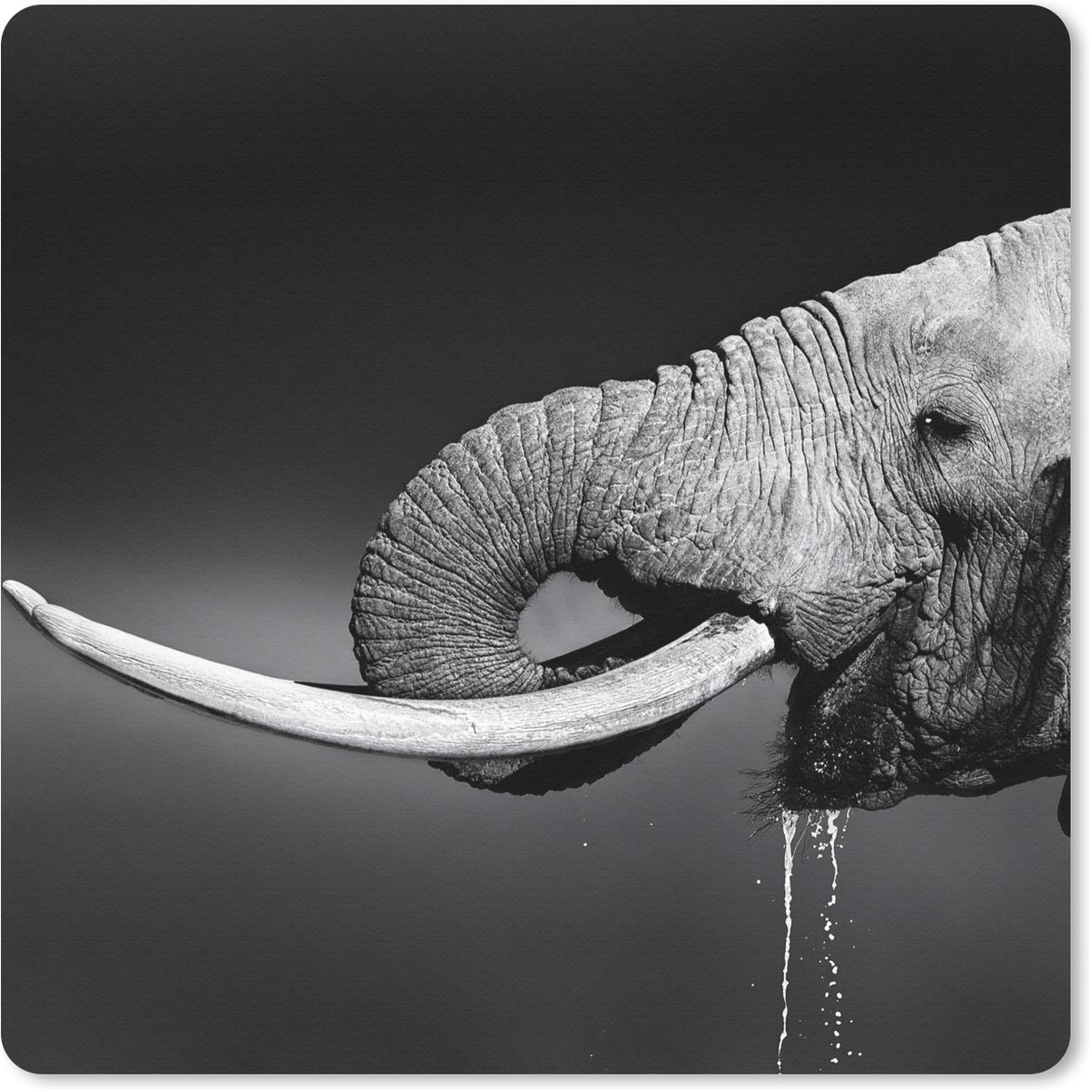 Muismat 20x20 cm - Mousepad Olifant - Water - Dieren - Zwart - Wit - Muismatten